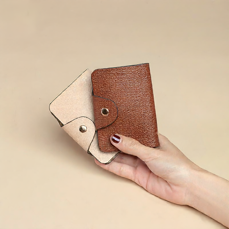 Card holder and document storage bag