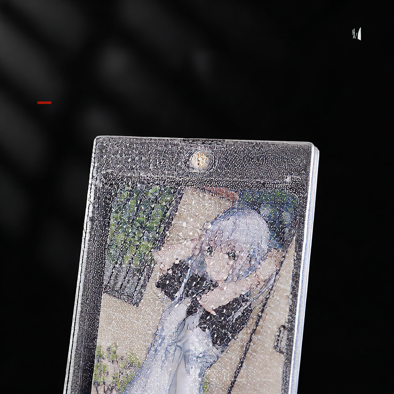 Card protector case