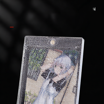 Card protector case