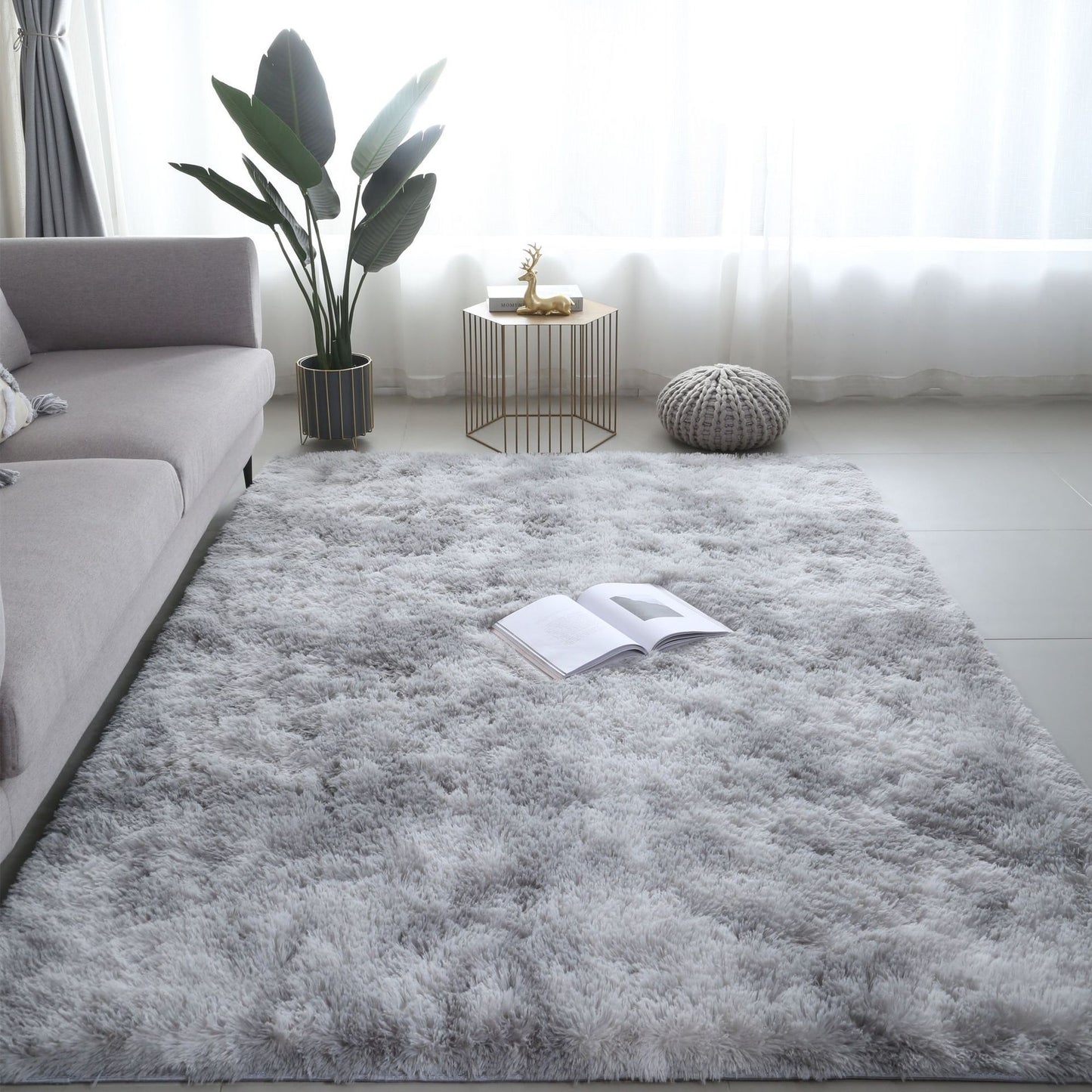 Carpet Rug