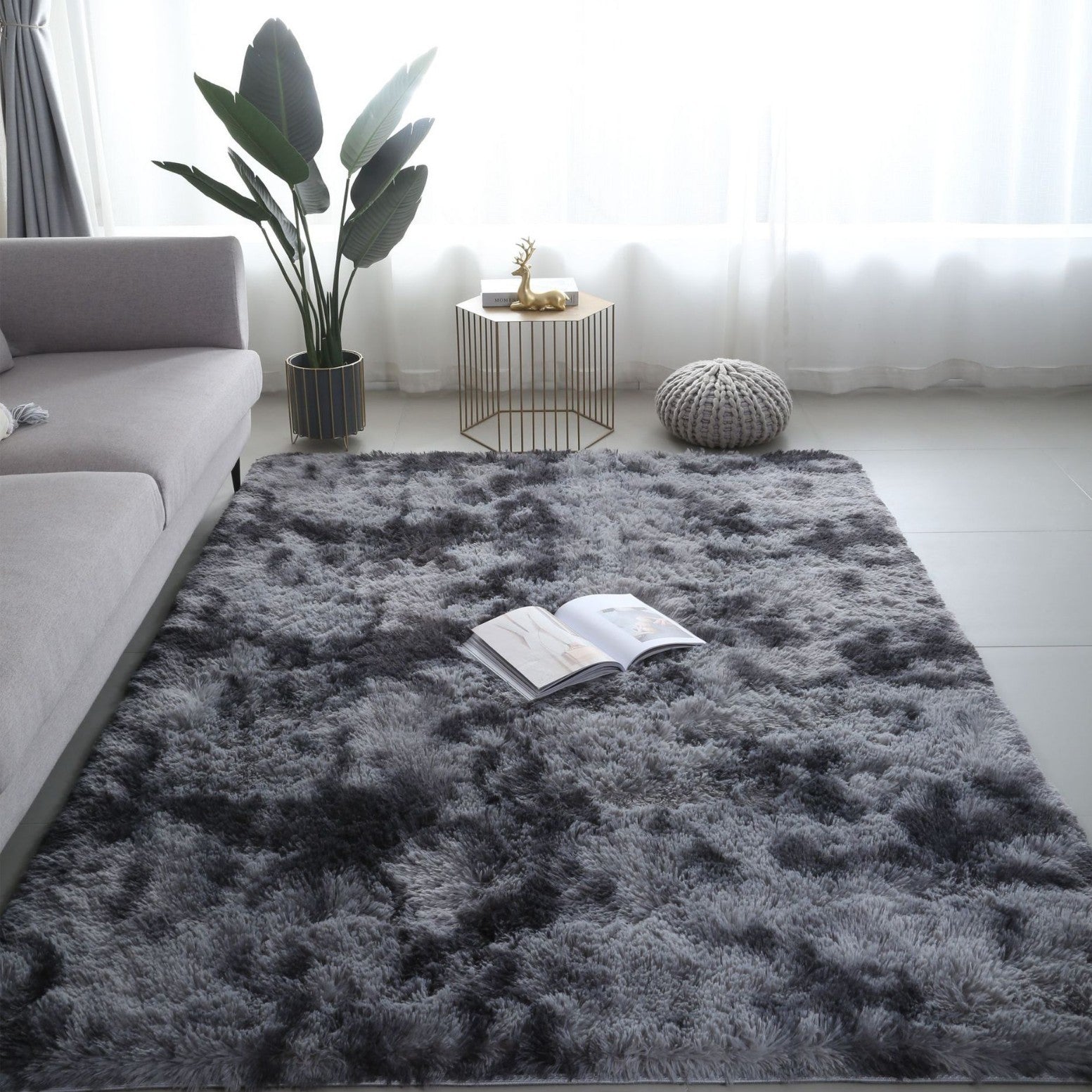 Carpet Rug
