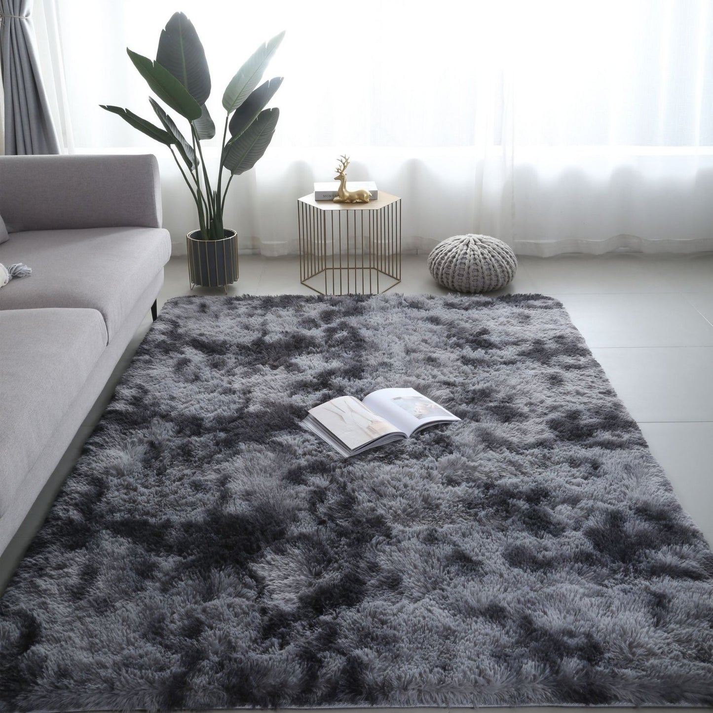 Carpet Rug