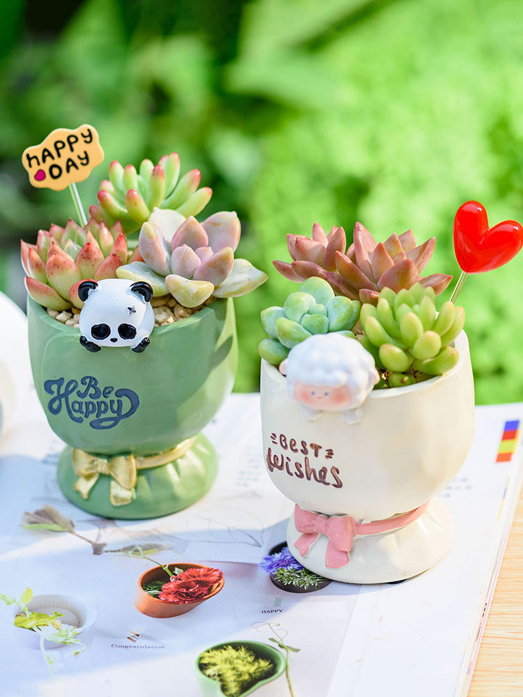 Cartoon Animal Succulent Planter Pot