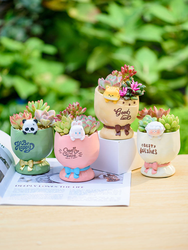 Cartoon Animal Succulent Planter Pot