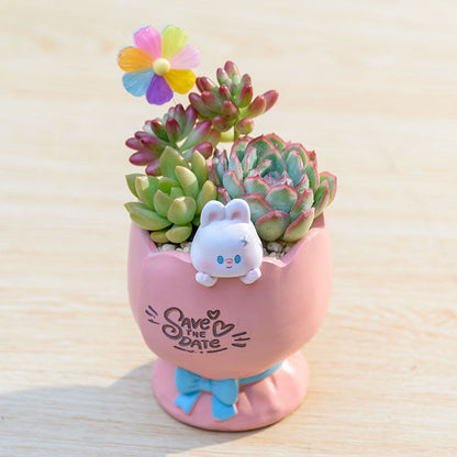 Cartoon Animal Succulent Planter Pot
