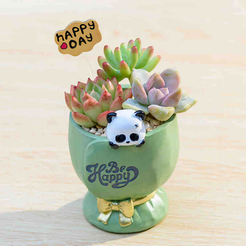 Cartoon Animal Succulent Planter Pot