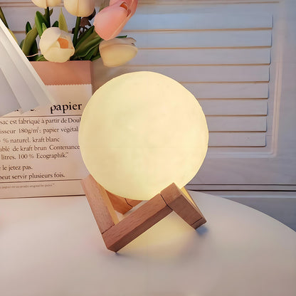 Cartoon LED Night Light