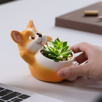 Cartoon-style succulent pot