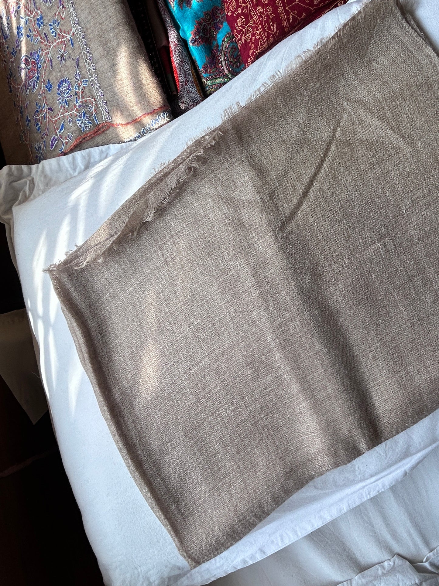 Cashmere Pashmina Shawl