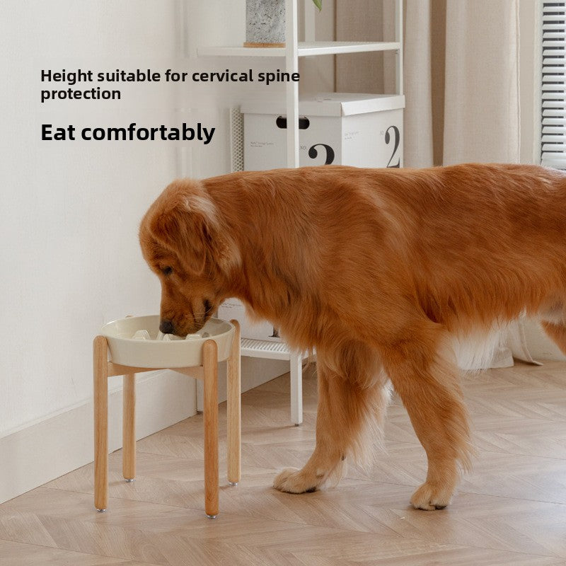 Cat and Dog Bowl