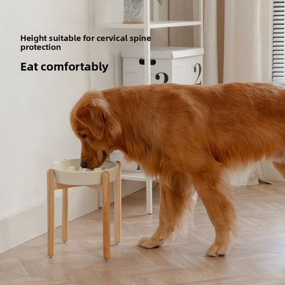 Cat and Dog Bowl