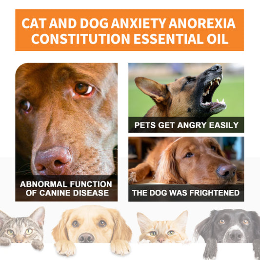 Cat and Dog Care Essence