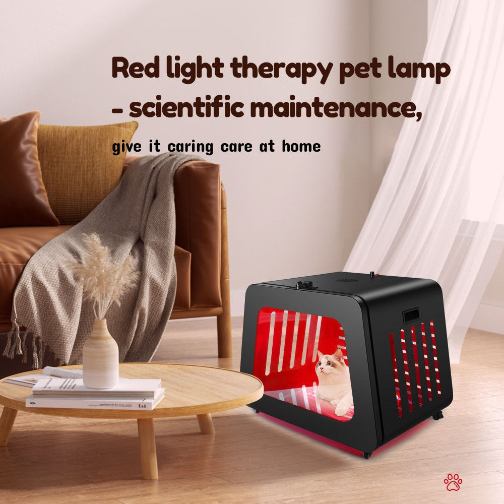 Cat and dog Red light physiotherapy instrument