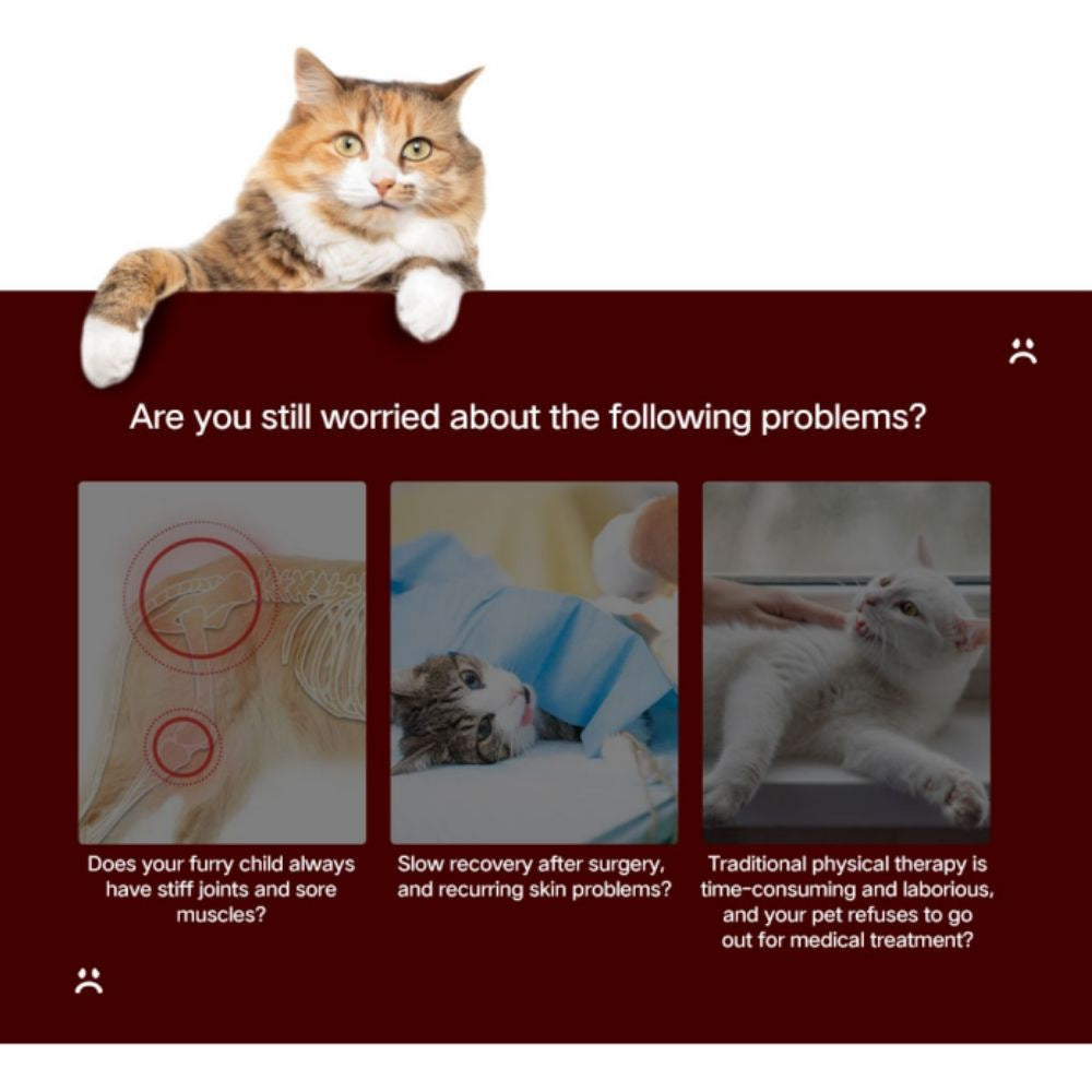 Cat and dog Red light physiotherapy instrument