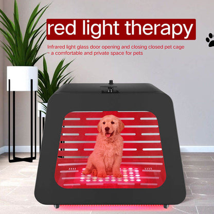 Cat and dog Red light physiotherapy instrument