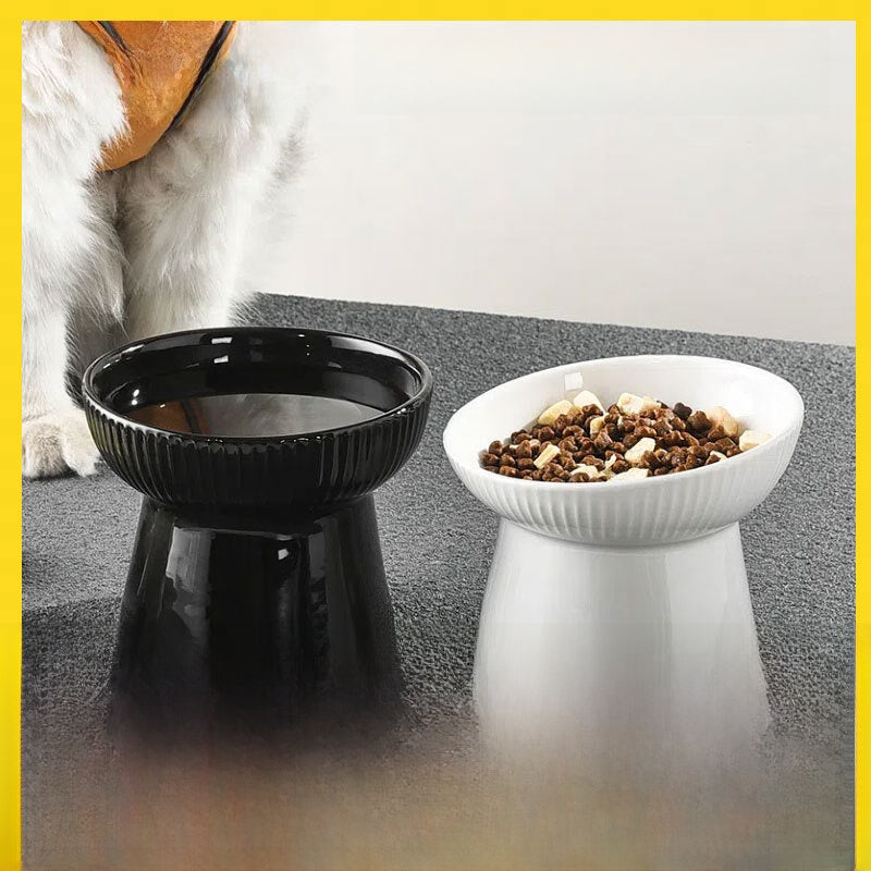 Cat ceramic bowl