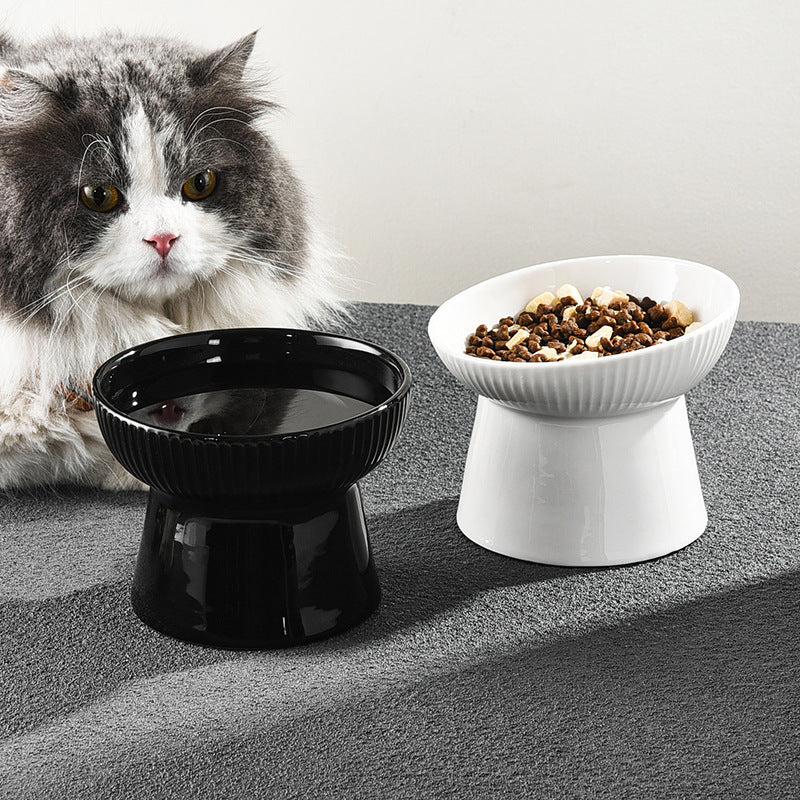 Cat ceramic bowl