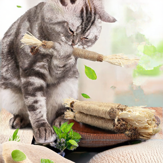 Cat Chew Toy