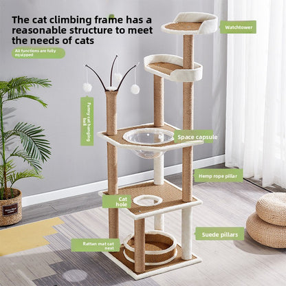 cat climbing frame