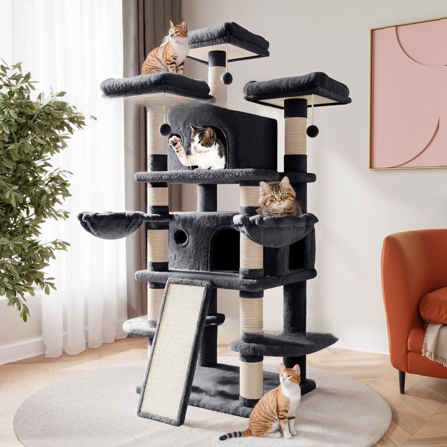 Cat Climbing Frame