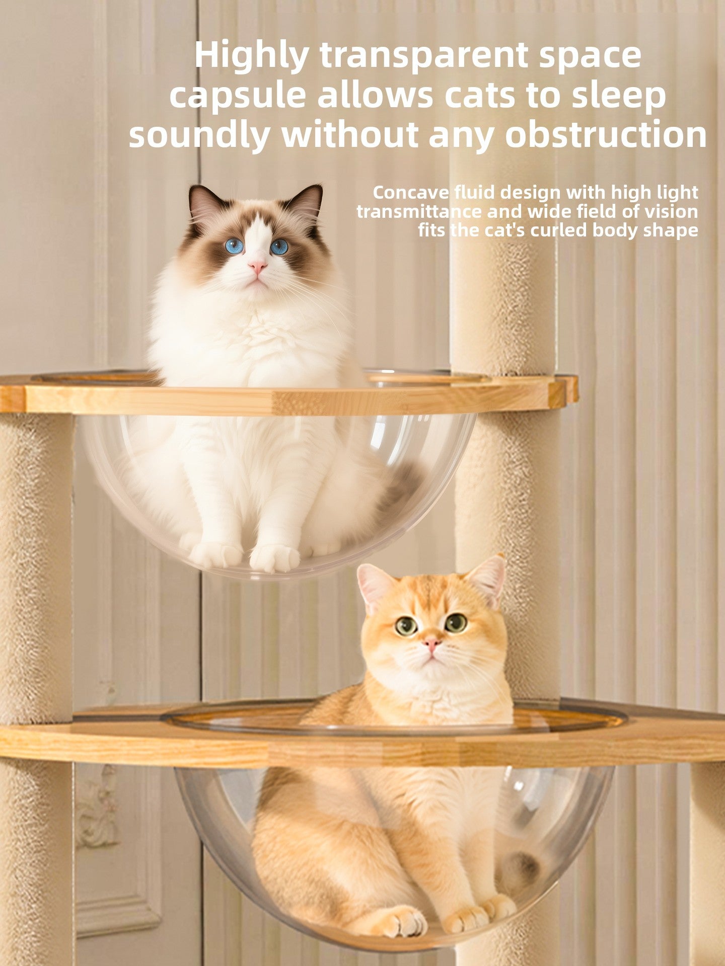Cat Climbing Frame