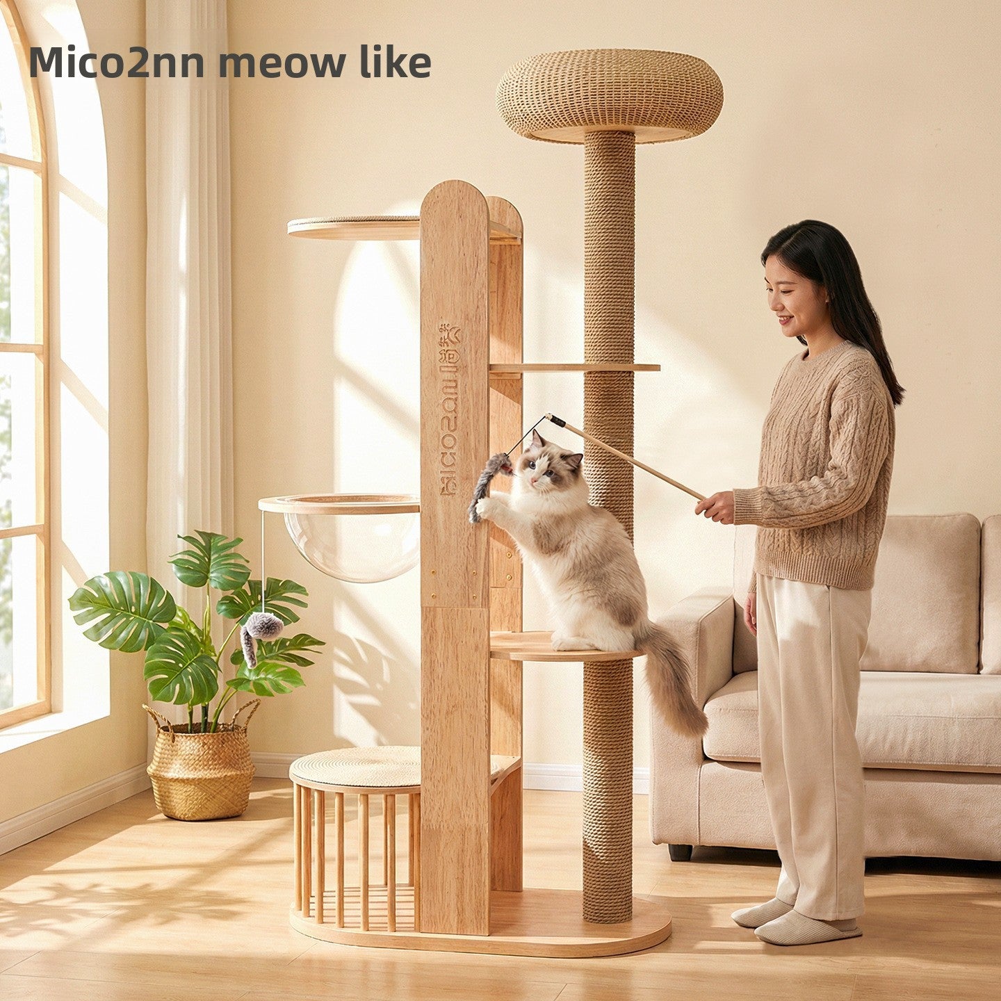 Cat Climbing Frame