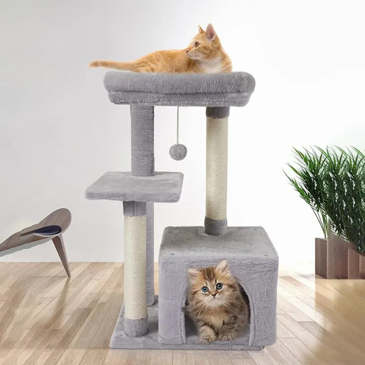 Cat Climbing Tree
