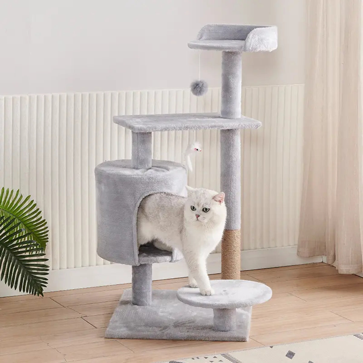 Cat Climbing Tree