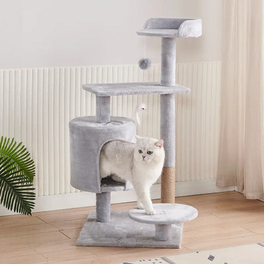 Cat Climbing Tree