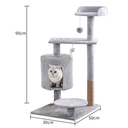 Cat Climbing Tree