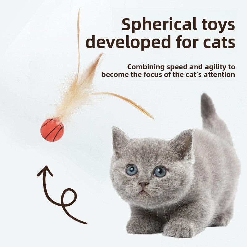 Cat Elastic Feather Ball