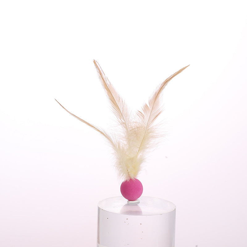 Cat Elastic Feather Ball