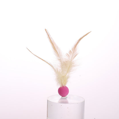 Cat Elastic Feather Ball