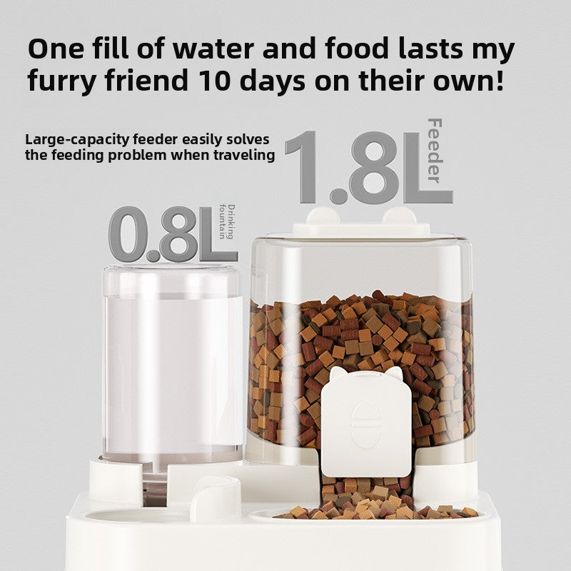 Cat Feeder Bowl