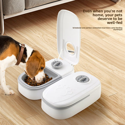 cat feeder