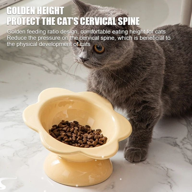 Cat Feeding Bowl