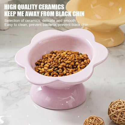 Cat Feeding Bowl
