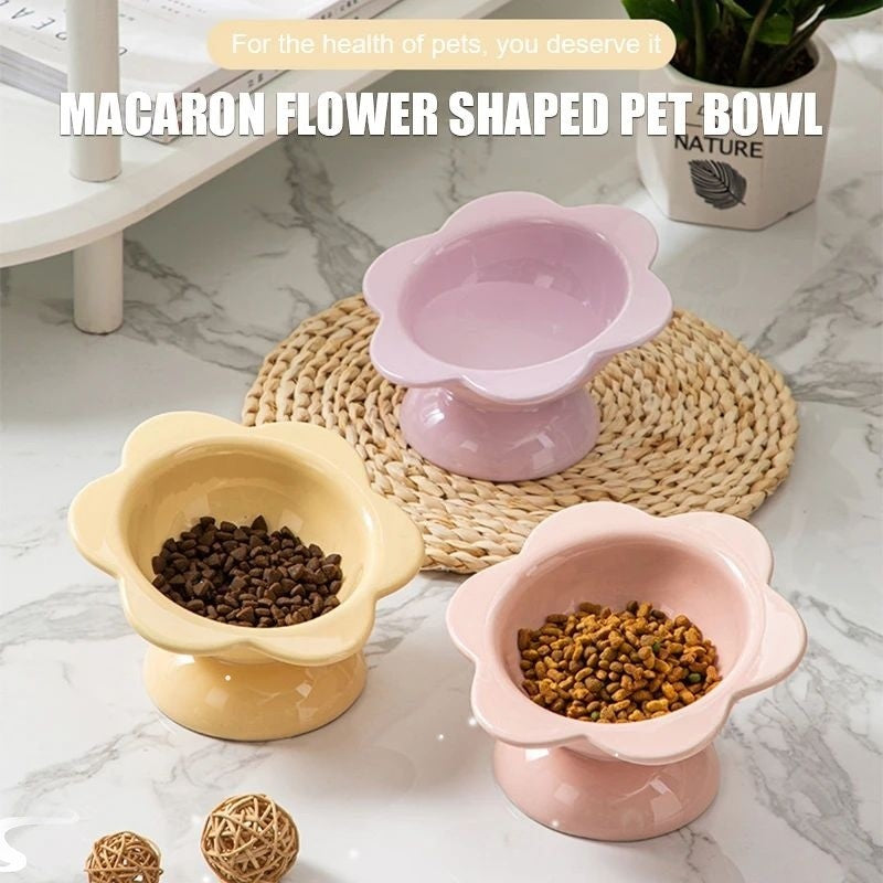 Cat Feeding Bowl