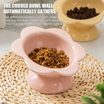 Cat Feeding Bowl