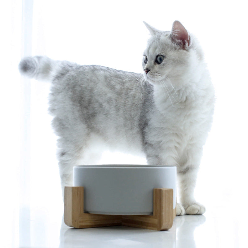 Cat food bowl