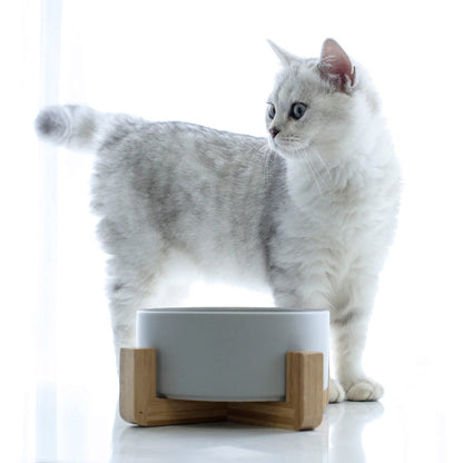Cat food bowl