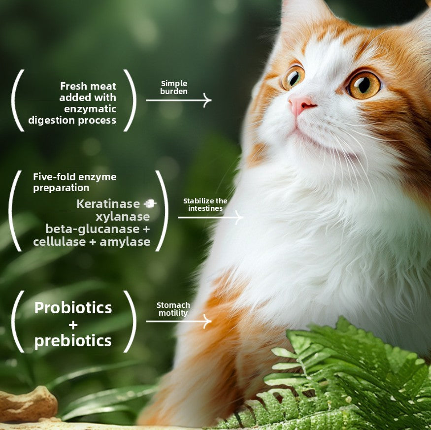 Cat food