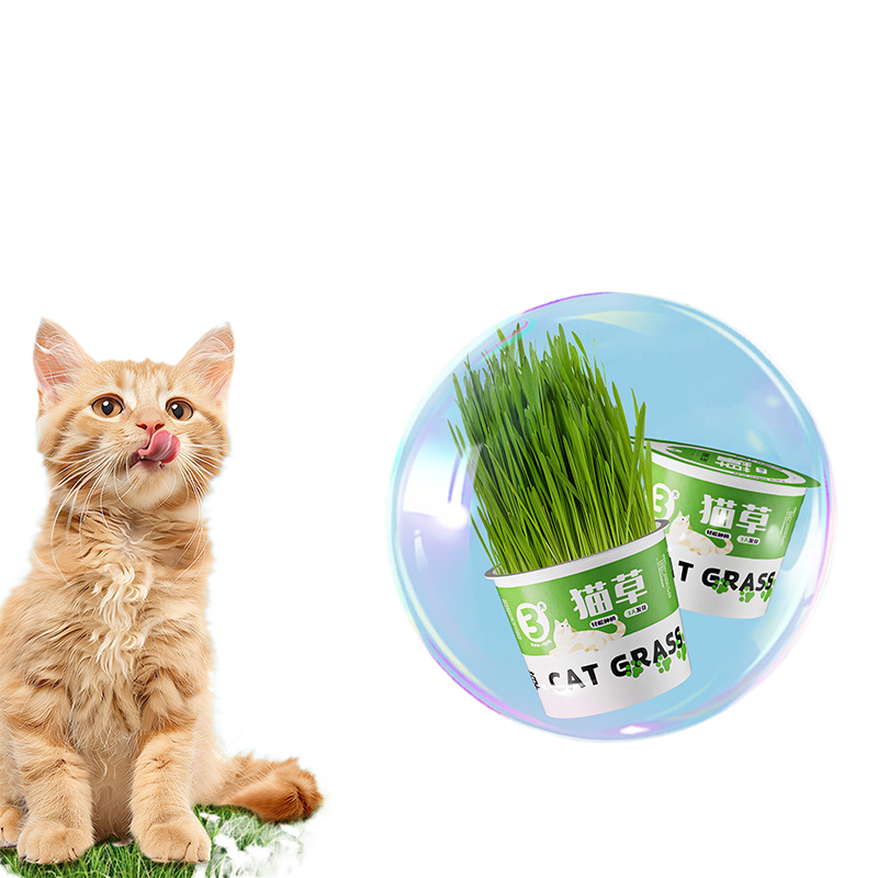 Cat Grass Canned
