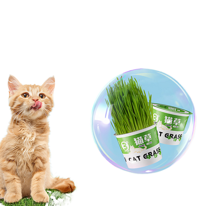 Cat Grass Canned
