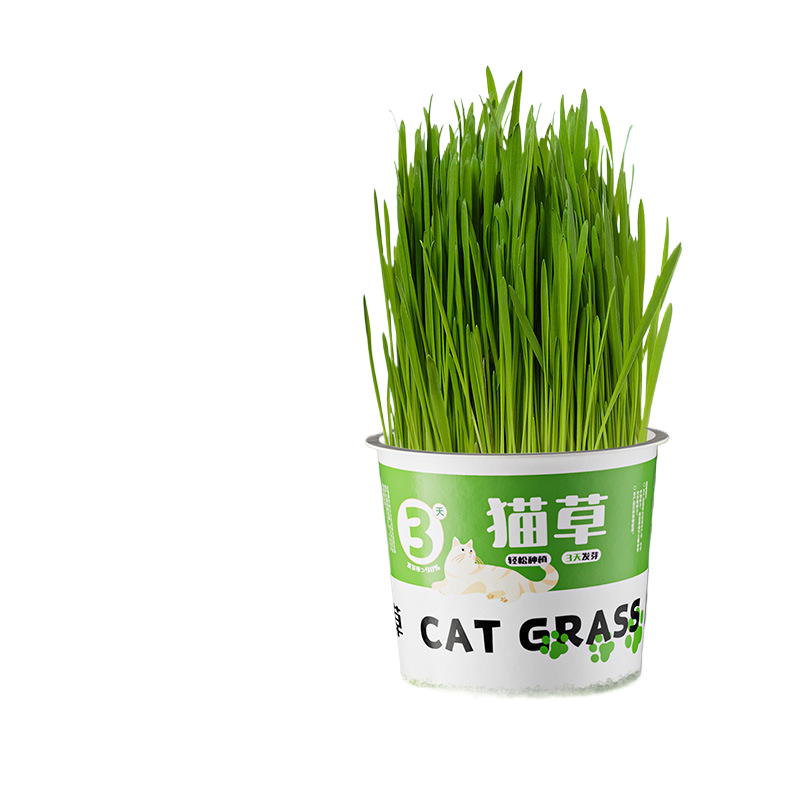 Cat Grass Canned