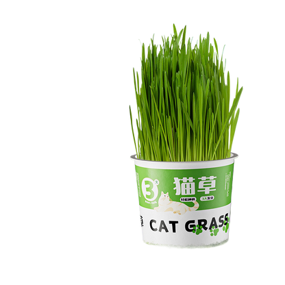 Cat Grass Canned