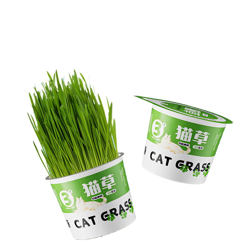 Cat Grass Canned