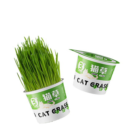 Cat Grass Canned