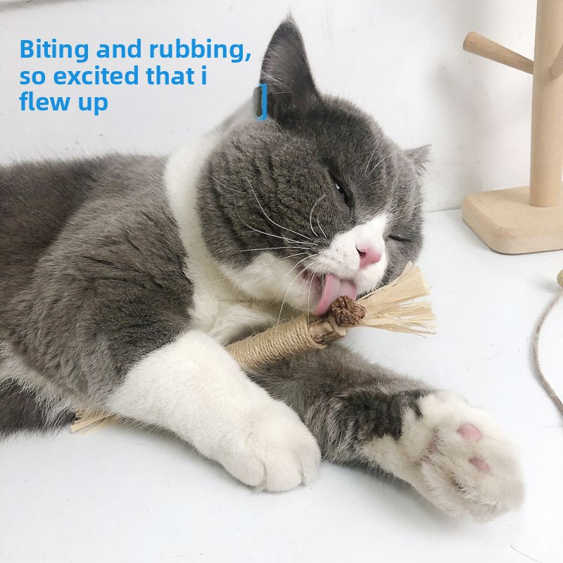 Cat Grinding Stick