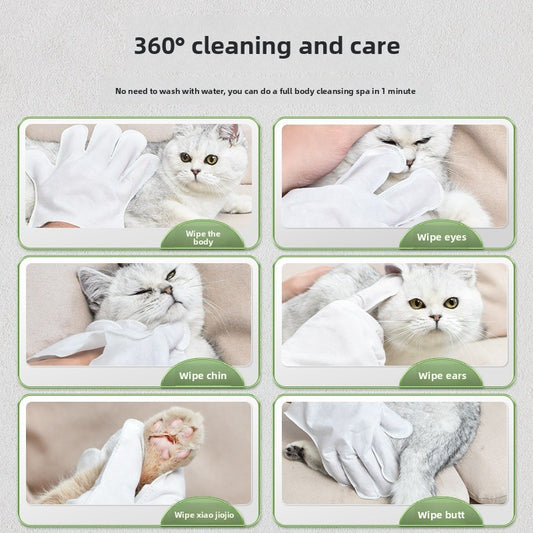 Cat Hand-Free Gloves